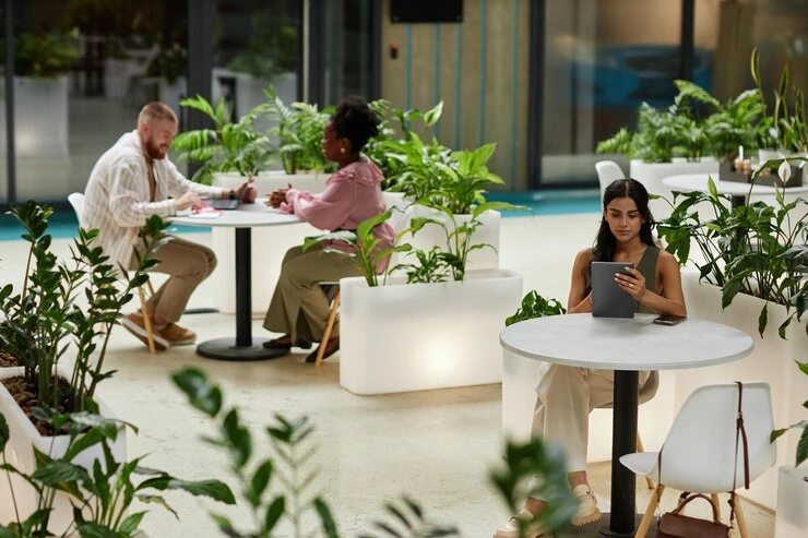 custom outdoor fitout dubai